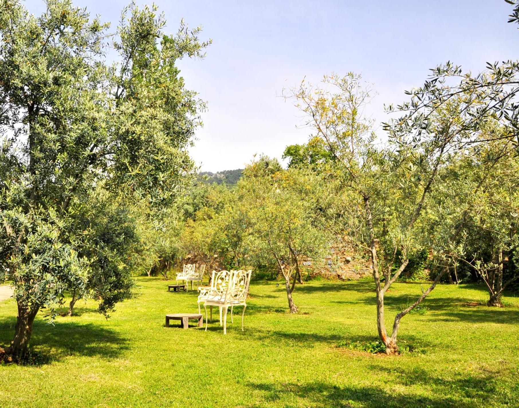 Gullu Konaklari Selcuk Exterior photo